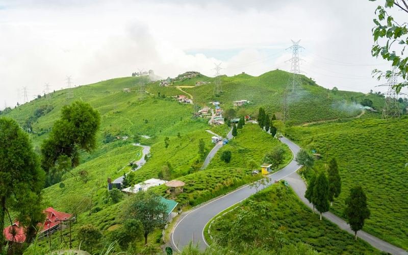 Winding road through green tea hills on the Darjeeling to Gangtok ride